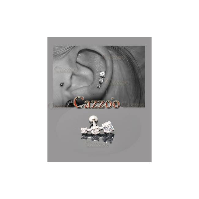 Meander frekvens websted Ørepiercing smykker huller ørerne piercing piercinger